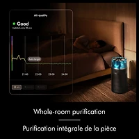 Purificateur compact Dyson HushjetMC (Noir/Sarcelle)