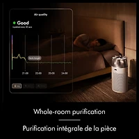 Purificateur compact Dyson HushjetMC (Blanc/Argenté)