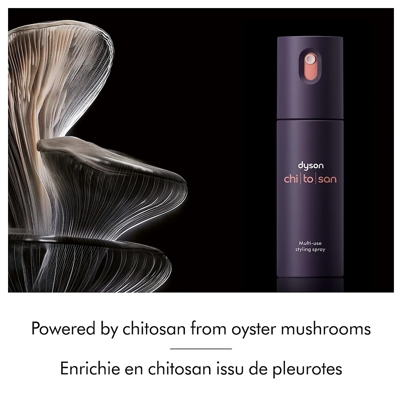 Limited edition Dyson Define & Refresh Styling Duo