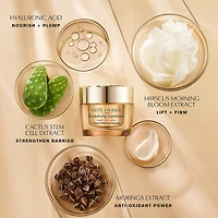 Hydratant Revitalizing Supreme+ Crème Crème révélatrice de jeunesse