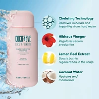 Shampooing Détox Clarifiant