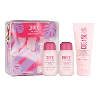 Les icônes de la réparation des cheveux