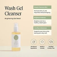 Wash Gel Cleanser