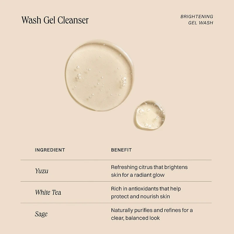 Wash Gel Cleanser