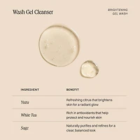 Wash Gel Cleanser