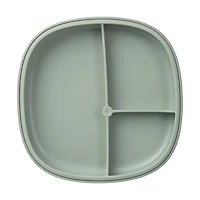 2 1 Suction Plate