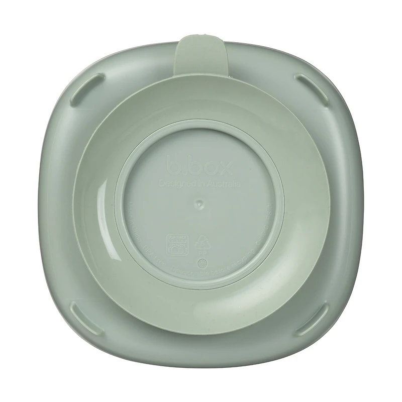 2 1 Suction Plate