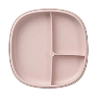 2 1 Suction Plate