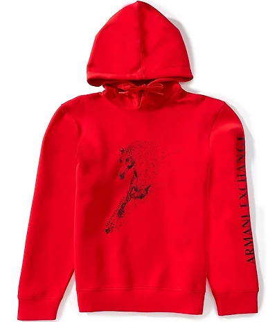 Armani Exchange Chinese New Year Hoodie