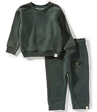 Burt's Bees Baby Boys Long-Sleeve Acid-Wash Sweatshirt & Coordinating Jogger Pant Set