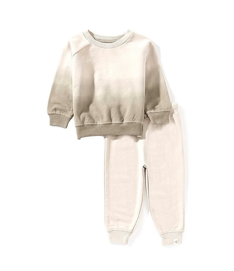 Burt's Bees Baby Boys Organic Cotton Dip Dye Sweatshirt & Pants Set