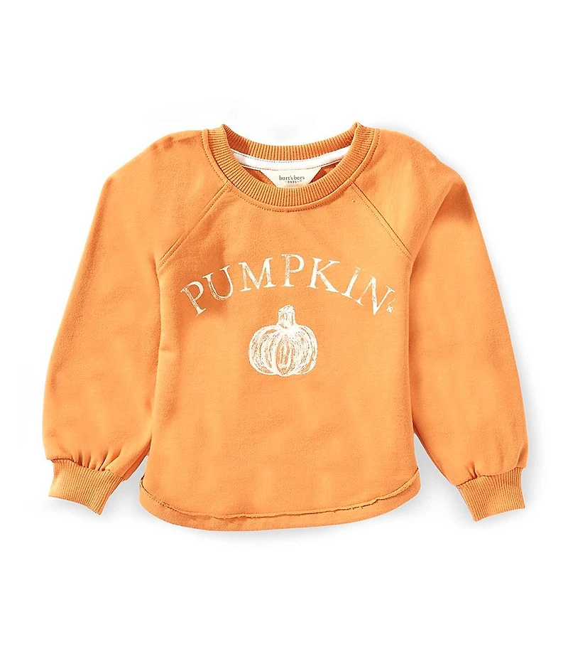 Burt's Bees Baby Pumpkin Organic Cotton Sweatshirt
