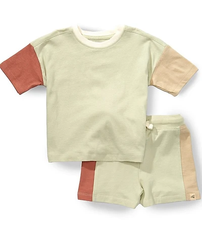 Burt's Bees Baby Boys Short Sleeve Organic Cotton Color Block Tee & Shorts Set