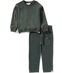Burt's Bees Little Boys Long-Sleeve Acid-Wash Sweatshirt & Coordinating Jogger Pants Set