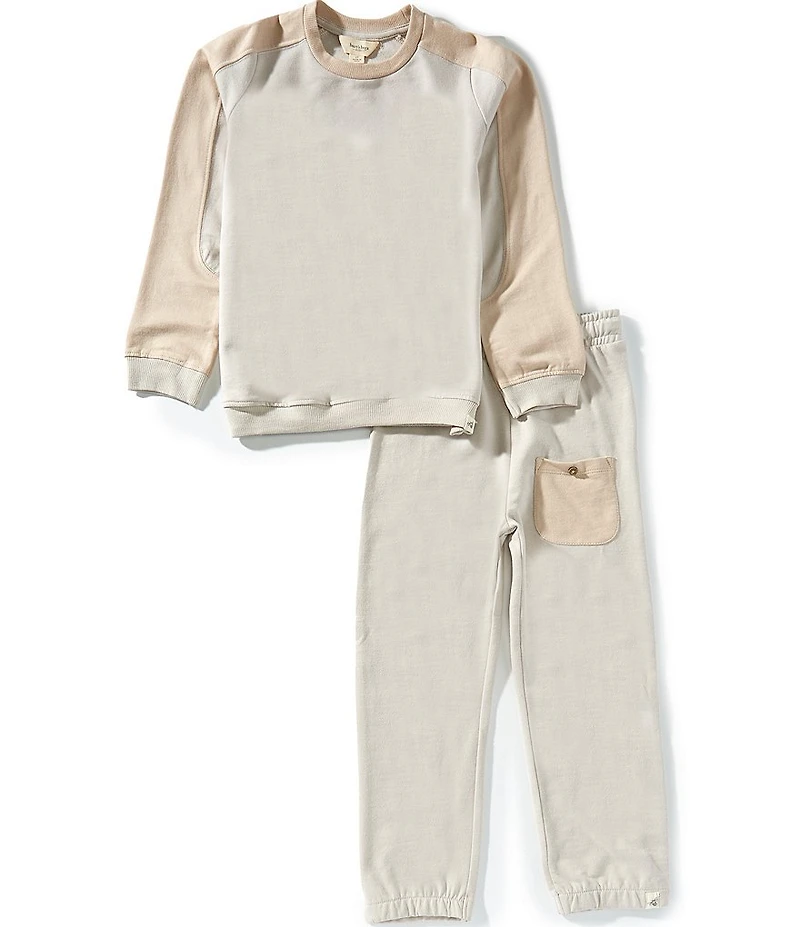 Burt's Bees Little Boys Organic Cotton Seamed Sweatshirt & French Terry Joggers Pants Set