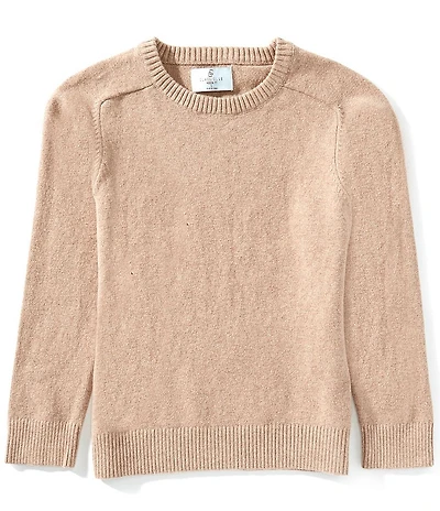 Class Club Little Boys Cotton Cashmere Sweater