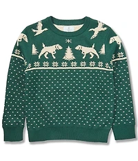 Class Club Little Boys Dog & Duck Intarsia Winter Pullover