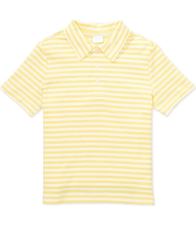 Edgehill Collection Little Boys Knit Stripe Polo