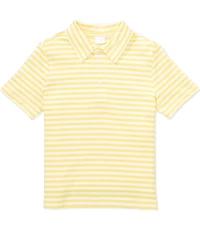 Edgehill Collection Little Boys Knit Stripe Polo