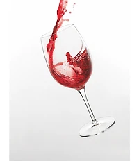 Luigi Bormioli Aero Collection Italian Premium Champagne Glasses, Set of 6