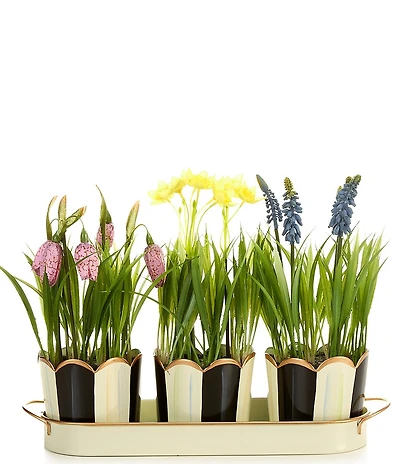 MacKenzie-Childs Easter Collection Stripe Scalloped Triple Potted Blooms Tray