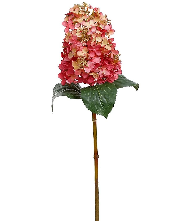 Mark Roberts Cone Hydrangea, Set of 12