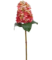 Mark Roberts Cone Hydrangea, Set of 12