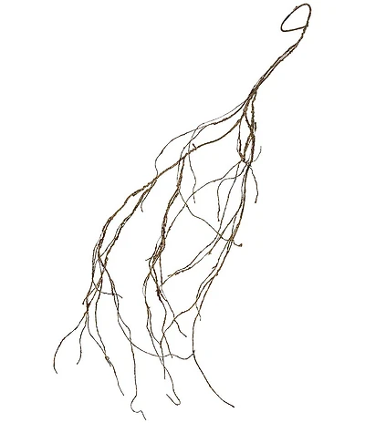 Mark Roberts Dried ft. Vine