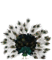 Mark Roberts Elegant Peacock Figurine