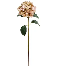 Mark Roberts Hydrangea, Set of 12