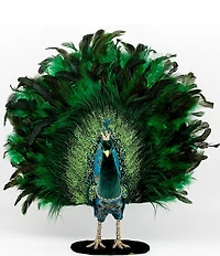 Mark Roberts Open Tail Feather Peacock- 22 x 23 Inch.