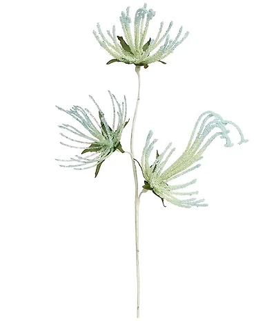 Mark Roberts Sea Grass Spray, Set of 12