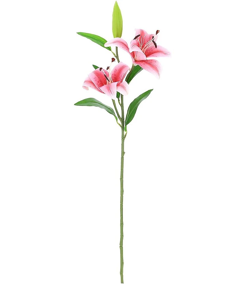 Mark Roberts Stargazer Lily 35 #double; Box of 12