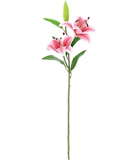 Mark Roberts Stargazer Lily 35 #double; Box of 12