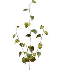 Mark Roberts Velvet Ivy Spray, Set of 6