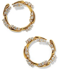 Nadri Phenom Front Back Orbital Earrings