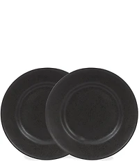 Noble Excellence Astoria Collection Matte Glazed Salad Plates, Set of 2