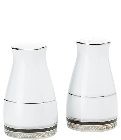 Noritake Austin Platinum Porcelain Salt and Pepper Set
