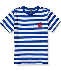 Polo Ralph Lauren Big Boys Short-Sleeve Crest Striped Jersey T-Shirt