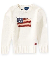 Polo Ralph Lauren Little Boys Flag Sweater