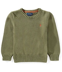Polo Ralph Lauren Little Boys Long-Sleeve Chunky-Knit Sweater