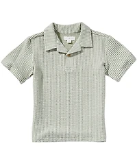 Scene&Heard Little Boys Stripe Camp Collar Short Sleeve Pop Over Shirt