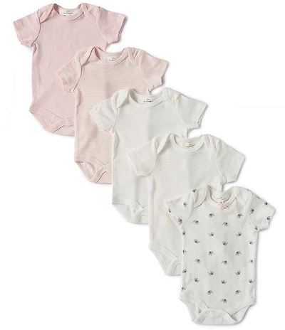 Starting Out Baby Girls Elephant 5-Pack Bodysuits