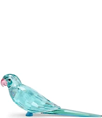 Swarovski Jungle Beats Blue Parakeet Paco Crystal Figurine