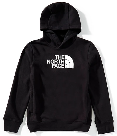 The North Face Little/Big Boys Long Sleeve Half Dome Climate-Conscious Hoodie