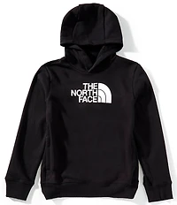 The North Face Little/Big Boys Long Sleeve Half Dome Climate-Conscious Hoodie
