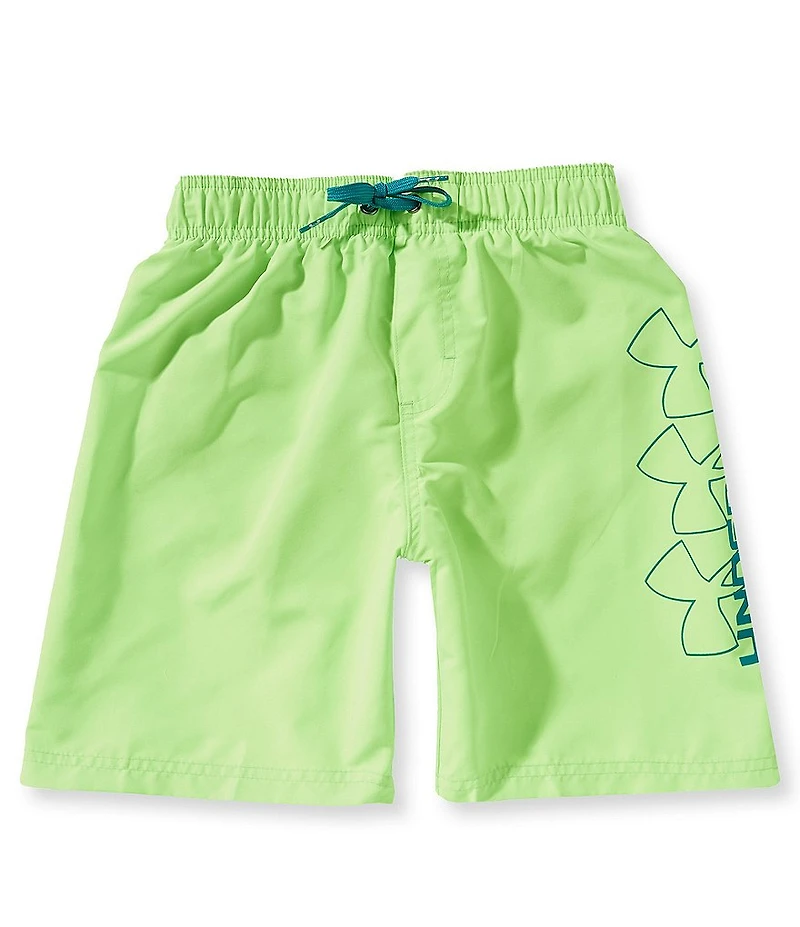 Under Armour Big Boys Hydrochromatic Volley Swim Trunks