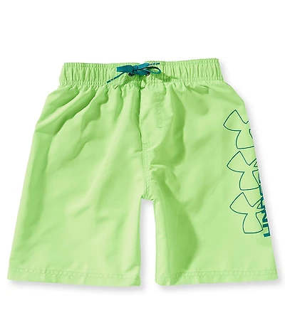 Under Armour Big Boys Hydrochromatic Volley Swim Trunks