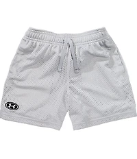 Under Armour Big Boys Icon Mesh Shorts
