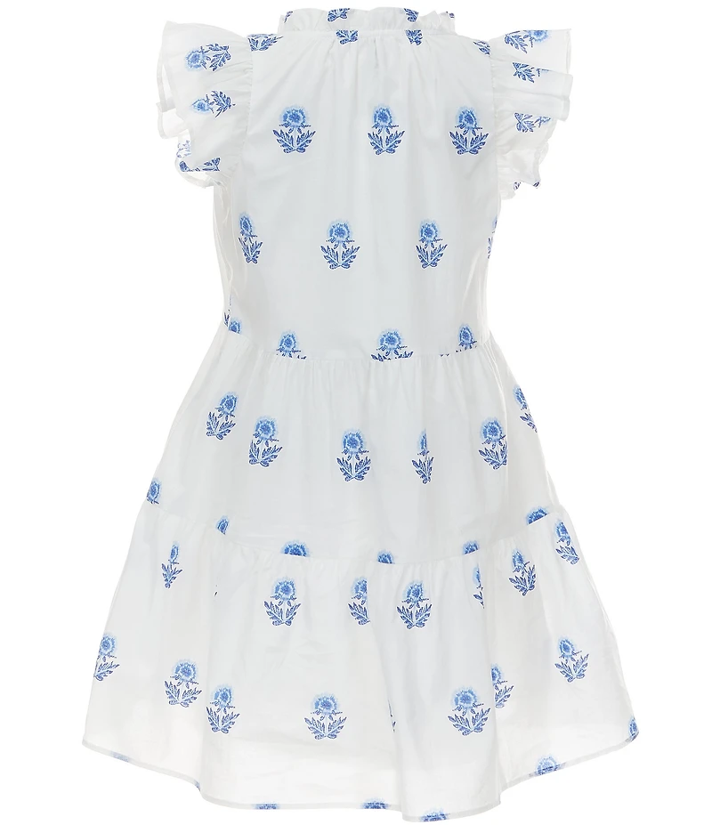 A Loves A Big Girls Embroidered Ruffle Cap Sleeve A-Line Tiered Dress